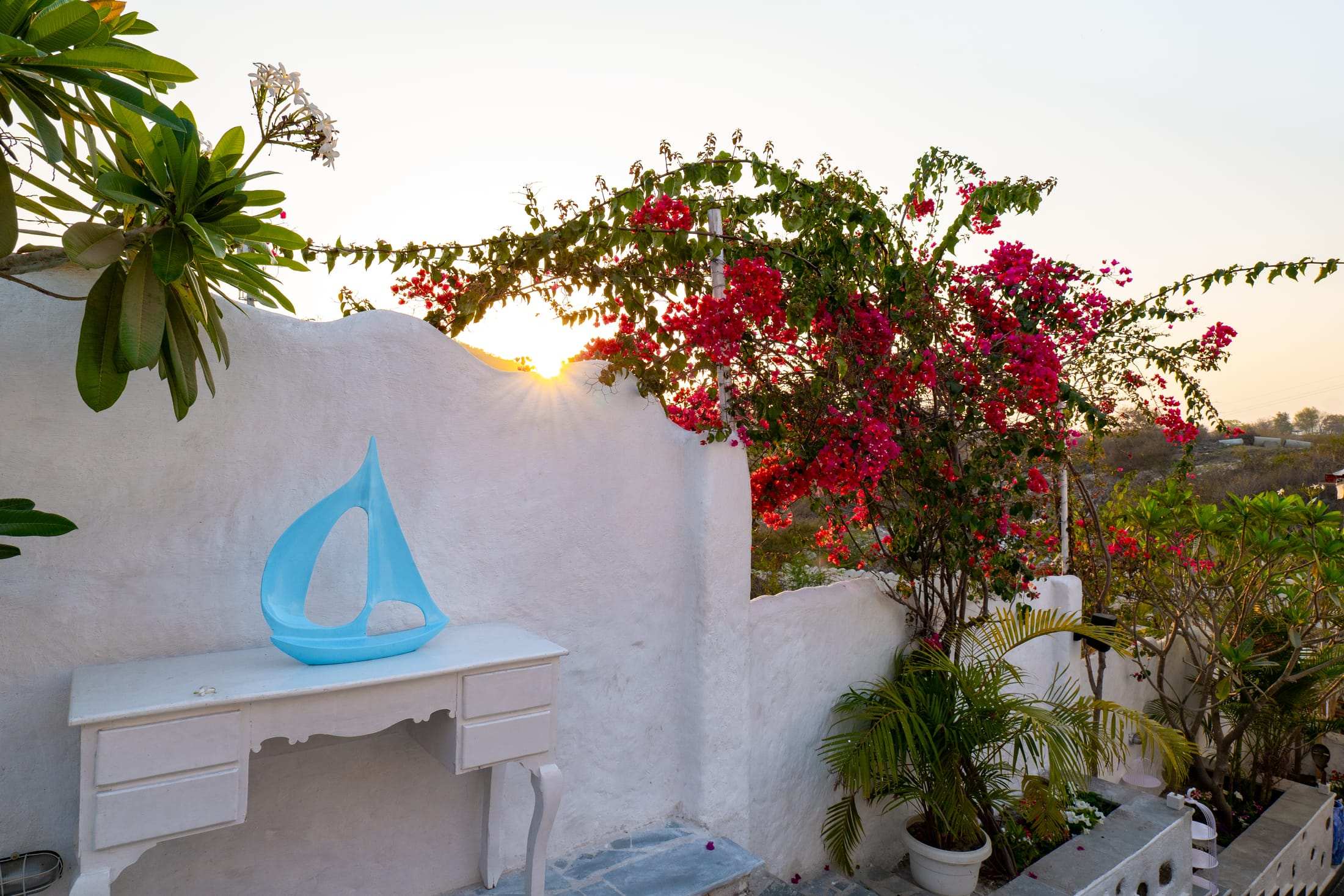Sunset glowing through bougainvillea on the terrace
