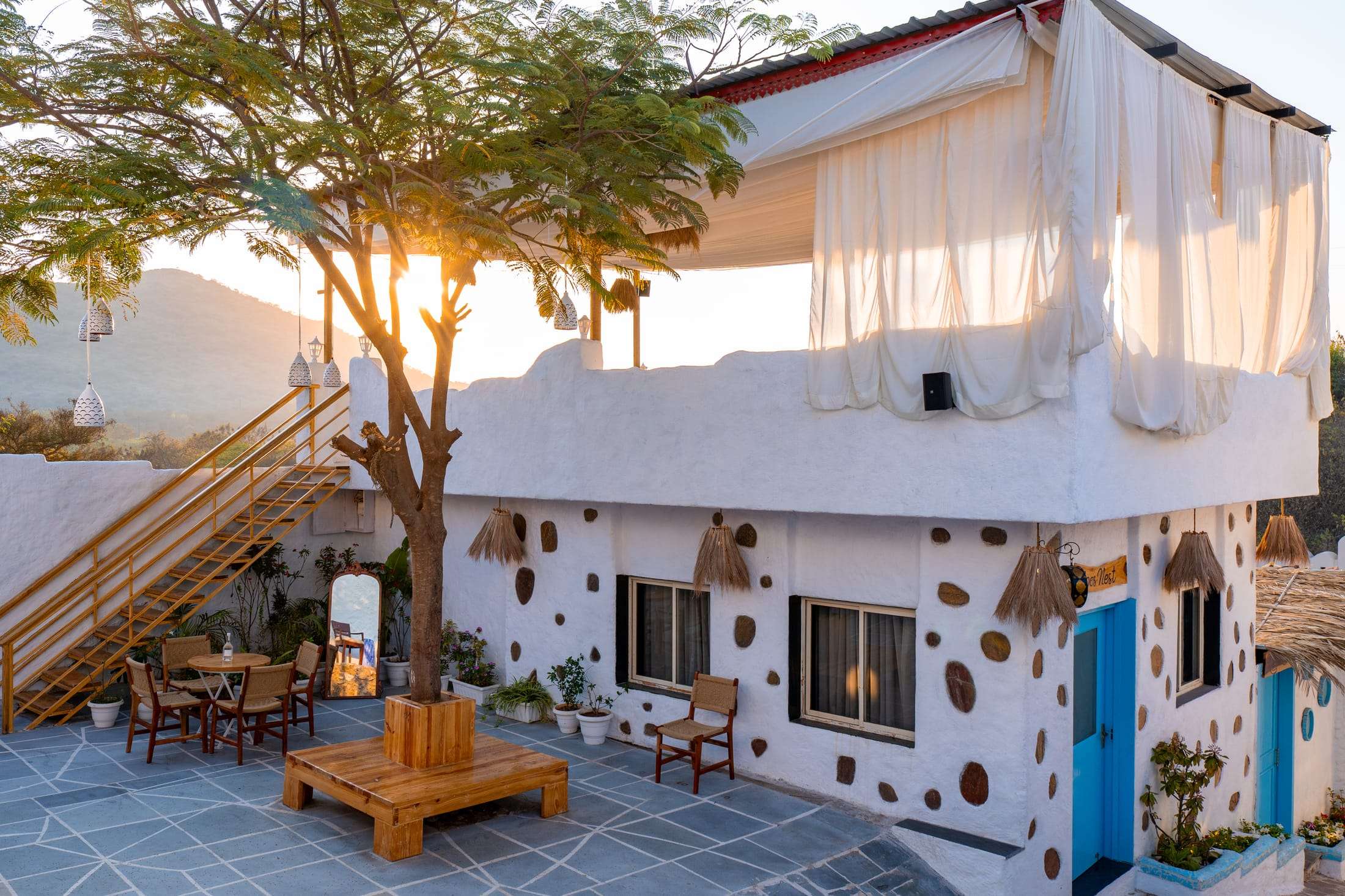Terrace café with a tree glowing in the setting sun